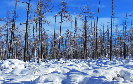 �@��Ķ����ж��� ѩ�����ж���