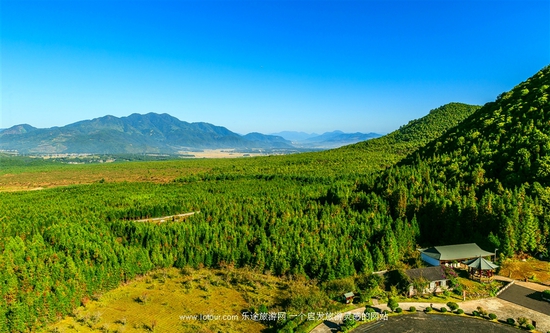 �v�_�����w�(y��n) �˟�����wԽ��ɽ