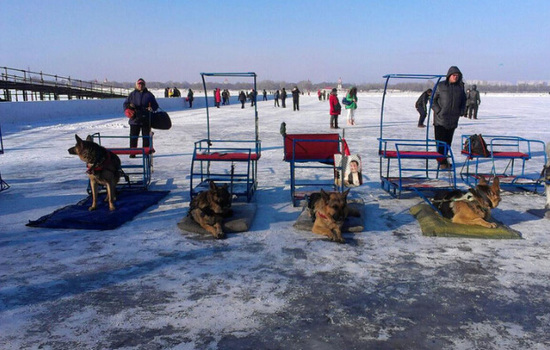 �@��Ķ����ж��� ѩ�����ж���