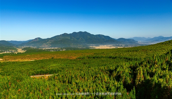 �v�_�����w�(y��n) �˟�����wԽ��ɽ