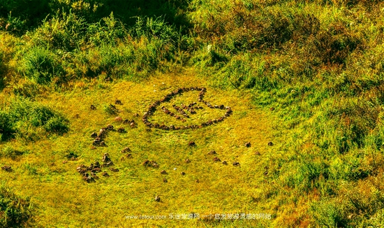 �v�_�����w�(y��n) �˟�����wԽ��ɽ