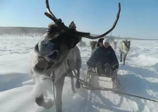 ���ǵ��������ĳ��� �](m��i)��֮һ