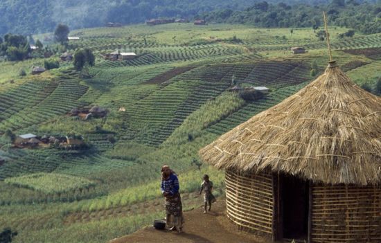 ���y�@�ú��C�ć�(gu��)�� �䌍(sh��)Ҳ��һ����ȥ