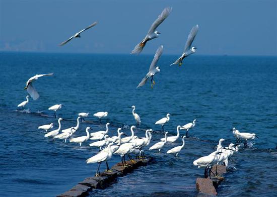 ����ٲ��ݾ�Ҫ�������� �s�oȥ�@Щ�ط��^(gu��)����