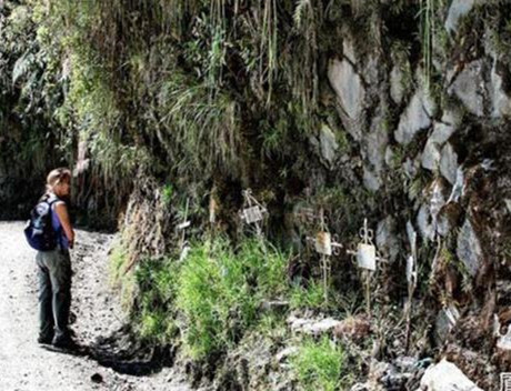 ����ȫ���һ�Z����·