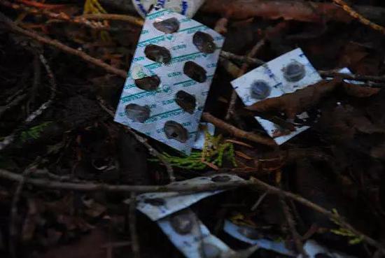 �Ԛ��߰l(f��)�أ��ձ����@���ط����ȥ������