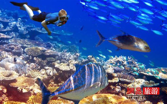 �R���������A��(sh��)����Ӻ��C�� �s��������