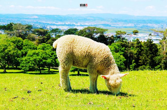 ���ϰ���ȥ���� ���D(zhu��n)ë���˵Ĺ��l(xi��ng)