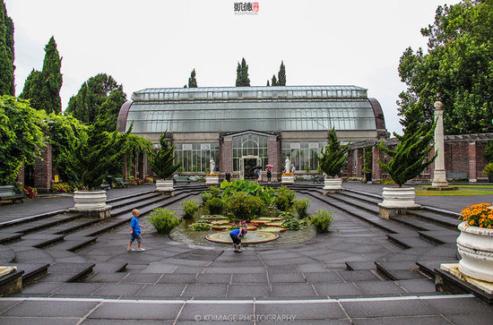 ���ϰ���ȥ���� ���D(zhu��n)ë���˵Ĺ��l(xi��ng)