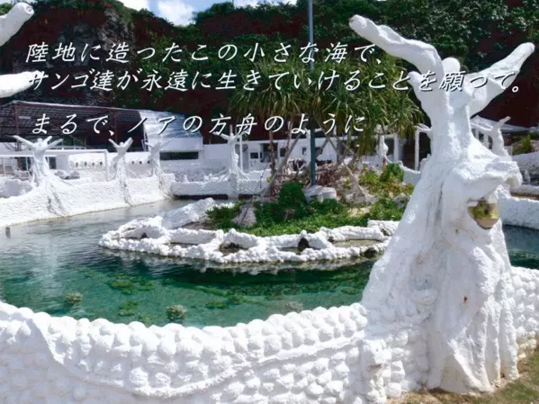 �ձ���ô���� �ɞ��߀���˟������T����܇��