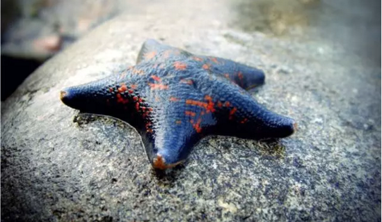 �ձ���ô���� �ɞ��߀���˟������T����܇��