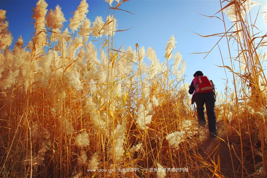 ǧ��Ī�� ���(m��ng)�ػ�