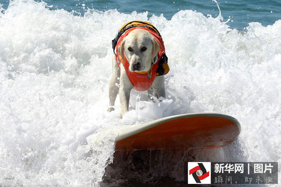 ����̫�����P�c�@���°͵ı�ِ