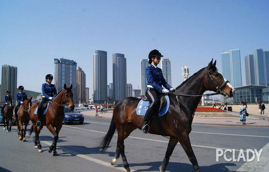 �Ї�(gu��)6������ϰ������F��������