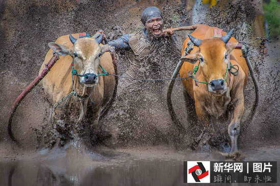 ����̫�����P�c�@���°͵ı�ِ