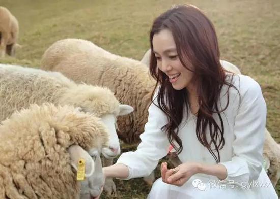 ������������һ�j�� ����һ���ȵ�����