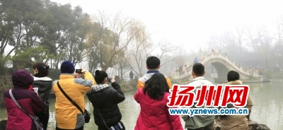 �F��������̫���˳��ظ����F�z