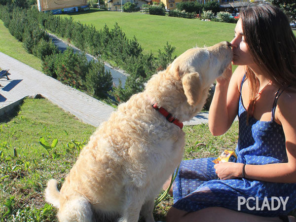 ���܇׃��܇ �ַ�犎��Ϲ���ȥ������