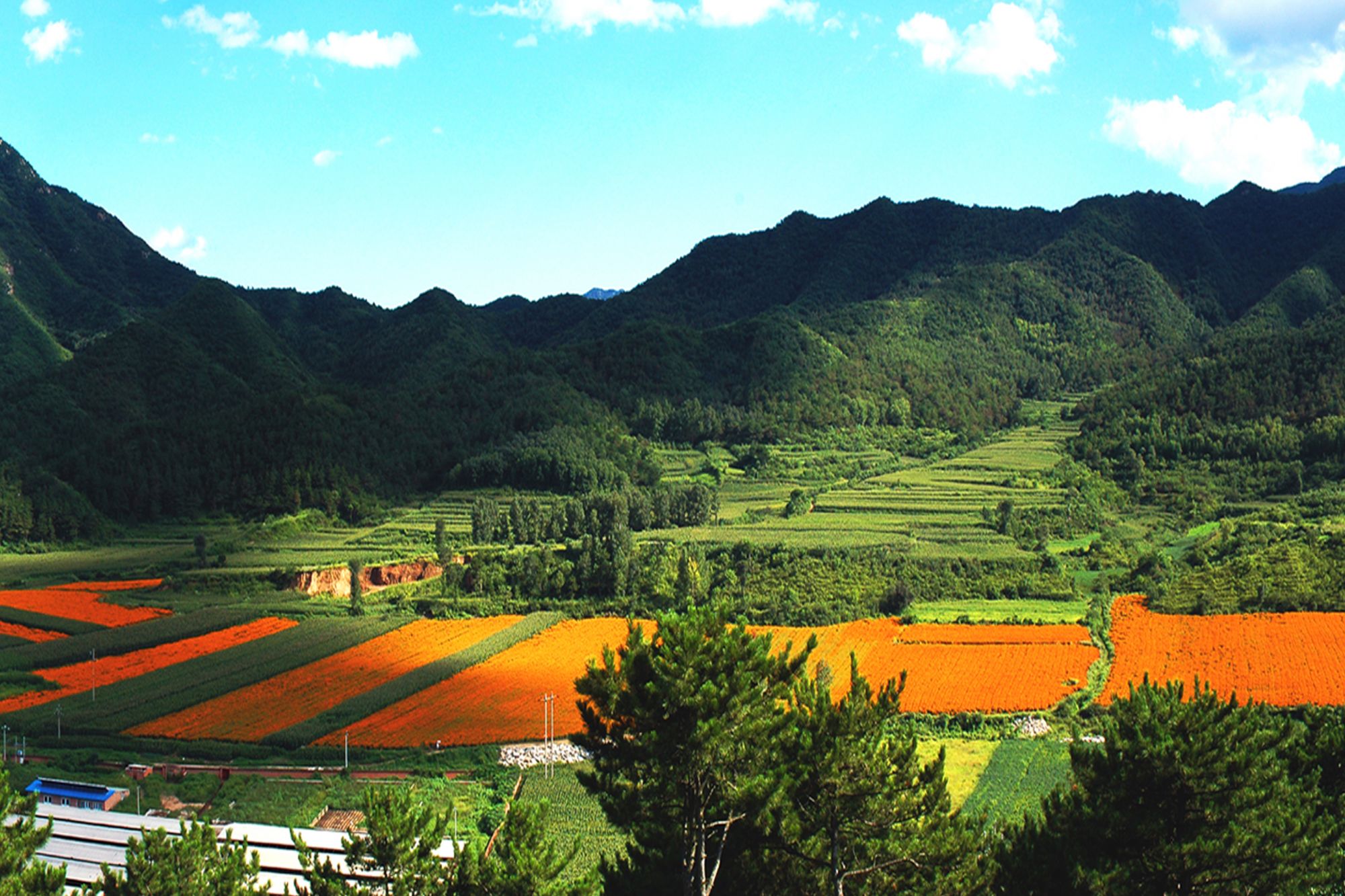 �ĺ��(zh��n)�ļ�����1