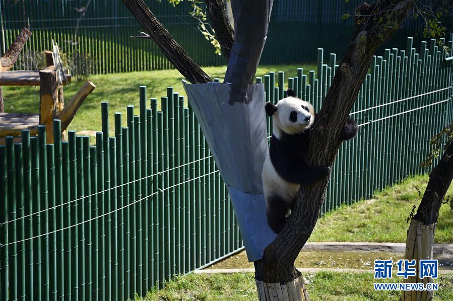 �����(hu��)����5�����(y��ng)ɭ�ք�(d��ng)��@��؈�^��ʽ�_�^