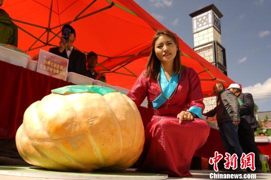 ���߶��_136�N���ذ��ʿh׃��&ldquo;�ٹ��@&rdquo;