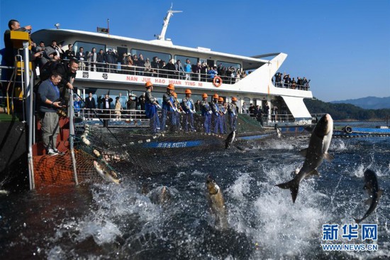 ���������2���㽭ǧ�u�����޾W(w��ng)���~