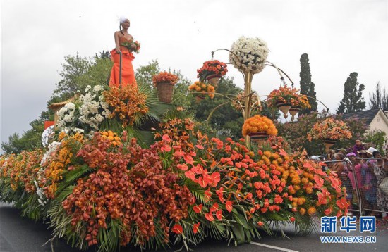 (國際)(2)南非:五彩斑斕的鮮花節(jié)巡游