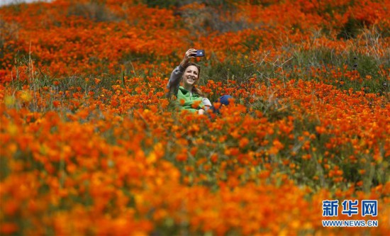 ����(gu��)�H����4���������� ɽ��ʢ��