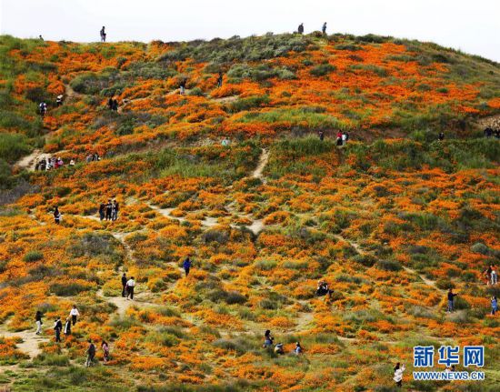 ����(gu��)�H����1���������� ɽ��ʢ��