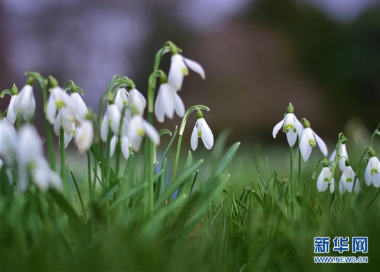 �����H����5���紺���m�˸�