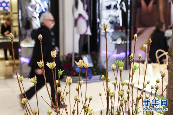 ����(gu��)�H����6���~�s����&ldquo;�_(k��i)&rdquo;÷����؛