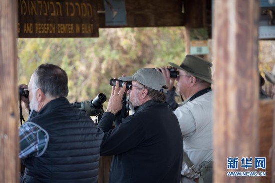 (國(guó)際)(5)以色列埃拉特國(guó)際觀鳥(niǎo)節(jié)
