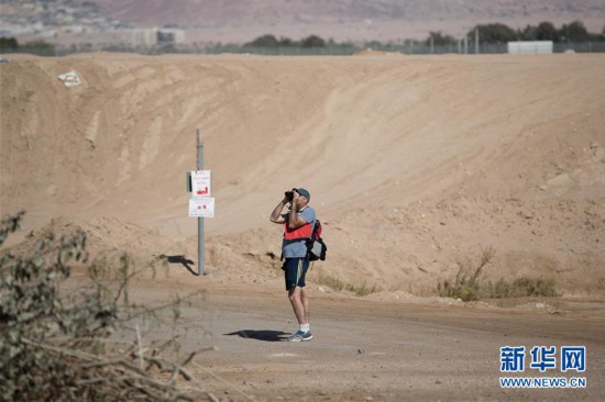 (國(guó)際)(2)以色列埃拉特國(guó)際觀鳥(niǎo)節(jié)