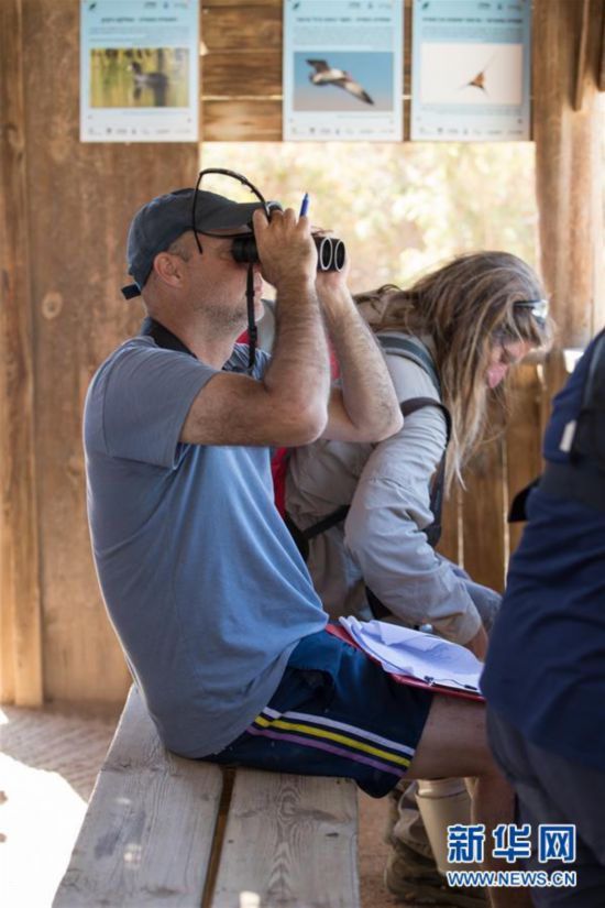(國(guó)際)(4)以色列埃拉特國(guó)際觀鳥(niǎo)節(jié)