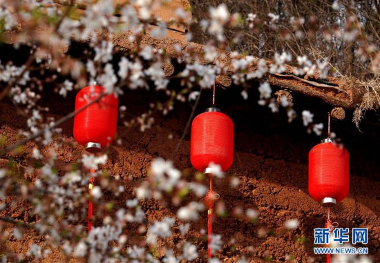 ������һ�����{(di��o)���(b��o)��&middot;�D�Ļ���(d��ng)����1����ɽ���&ldquo;�ۺ�С�(zh��n)&rdquo;����(d��ng)�l(xi��ng)������ˇ�g(sh��)