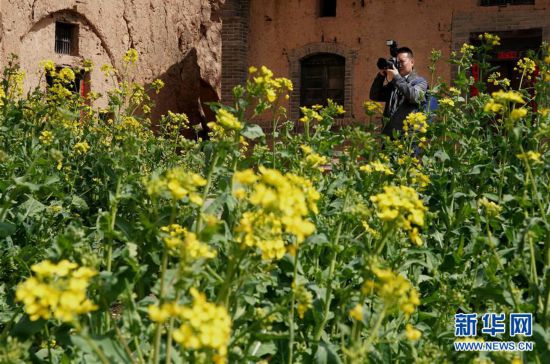 ������һ�����{(di��o)���(b��o)��&middot;�D�Ļ���(d��ng)����5����ɽ���&ldquo;�ۺ�С�(zh��n)&rdquo;����(d��ng)�l(xi��ng)������ˇ�g(sh��)