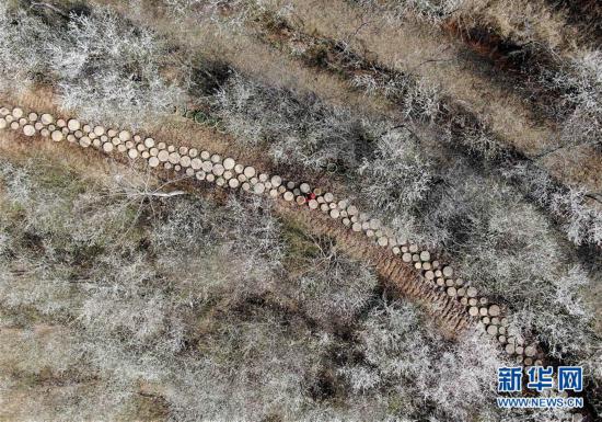 ������һ�����{(di��o)���(b��o)��&middot;�D�Ļ���(d��ng)����3����ɽ���&ldquo;�ۺ�С�(zh��n)&rdquo;����(d��ng)�l(xi��ng)������ˇ�g(sh��)