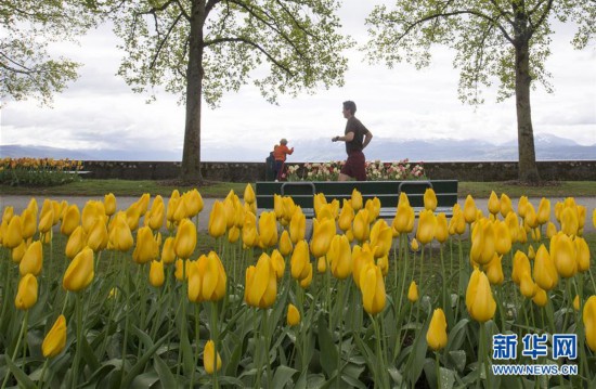 ����(gu��)�H����5����ʿĪ�����e�k�����㹝(ji��)