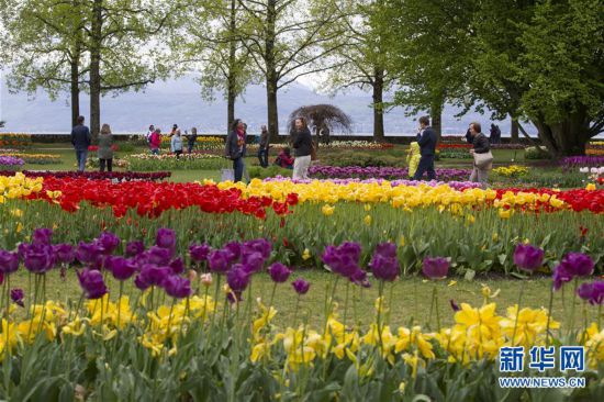 ����(gu��)�H����2����ʿĪ�����e�k�����㹝(ji��)