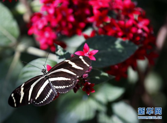 ����(gu��)�H����4�����ٻ�