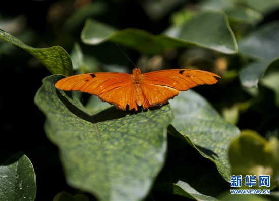 ����(gu��)�H����5�����ٻ�