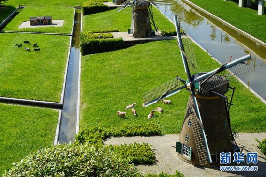 (國(guó)際)(2)走進(jìn)荷蘭“海牙小人國(guó)”