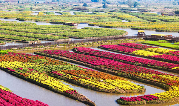 ���K�d����ǧ��ջ���