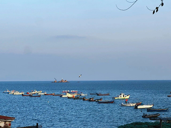 ���ս��ž�������ɽ�|�����h(hu��n)��^(q��)���o�k����