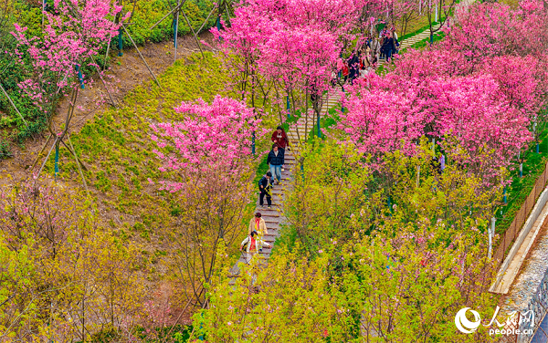 �������ݖ|�R�^(q��)����