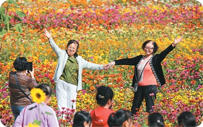 ���p��{����Ҋ�⡱��