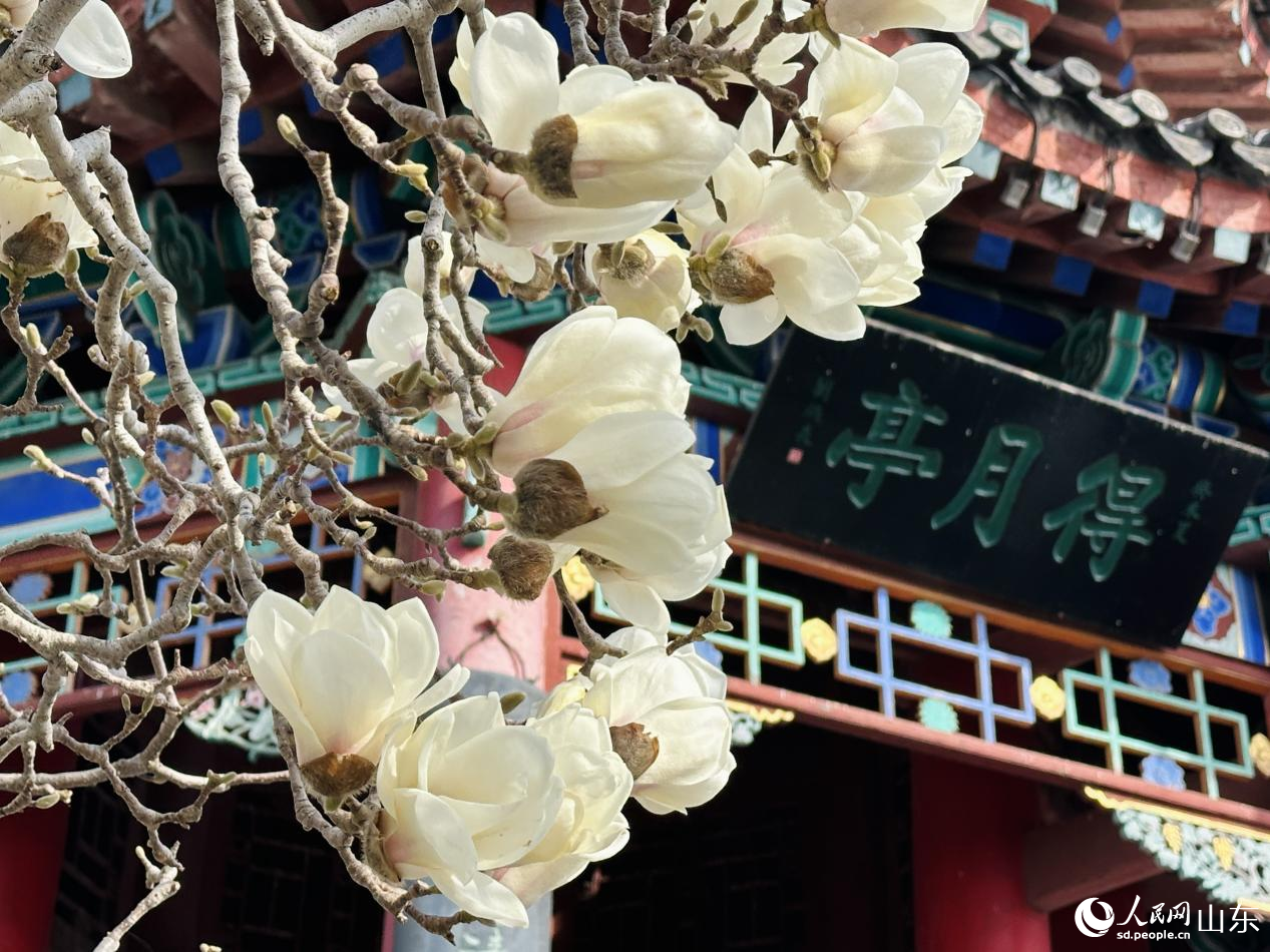 ����ͤǰ���mʢ������������������Wӛ�� ��歔z