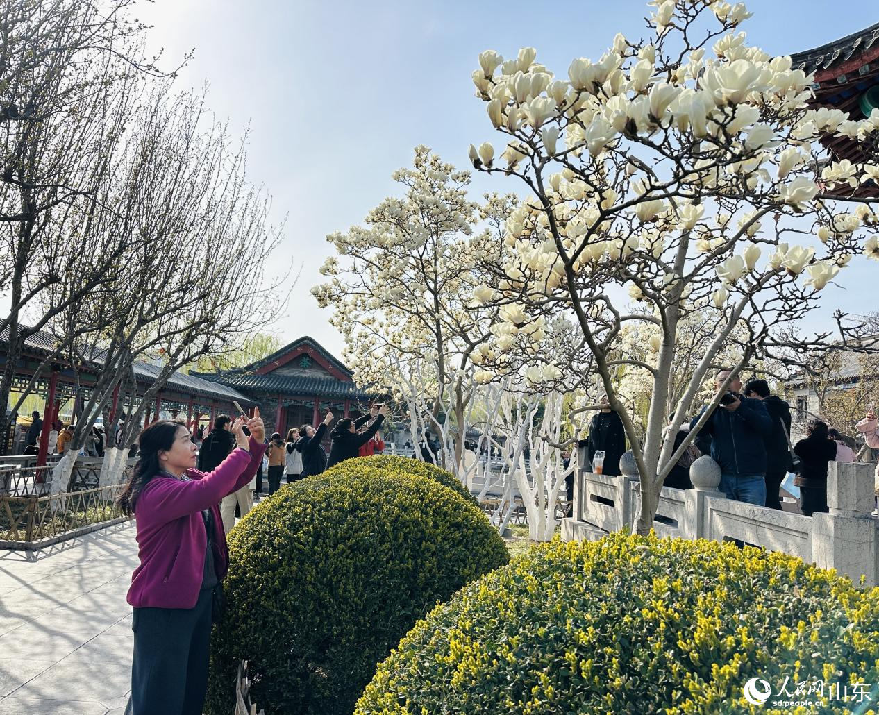 ���m���_��ʢ�����������ο��v���������Wӛ�� ��歔z