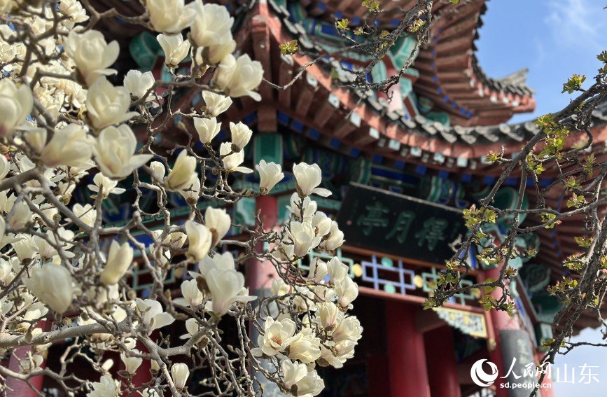 ����ͤǰ���mʢ�ţ���������������Wӛ�� ��歔z