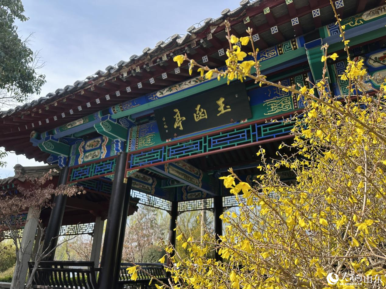 ��ͤǰ�B�Nʢ�����M�@�����紺���C������Wӛ�� ��歔z